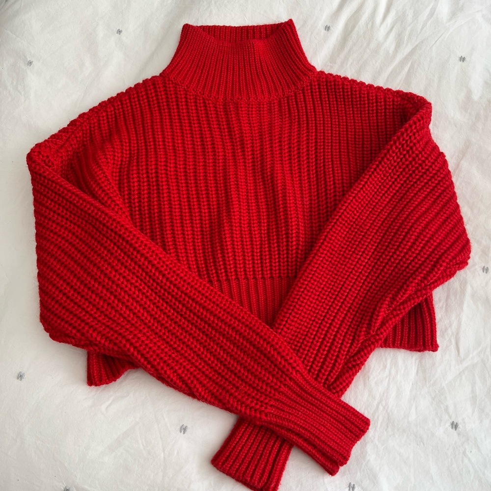 Lovers + Friends Red Cropped Sweater